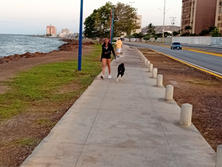 20241205_174756.jpg
