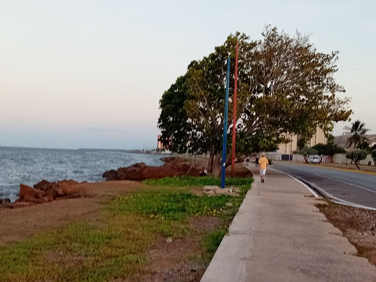 20241205_174841.jpg
