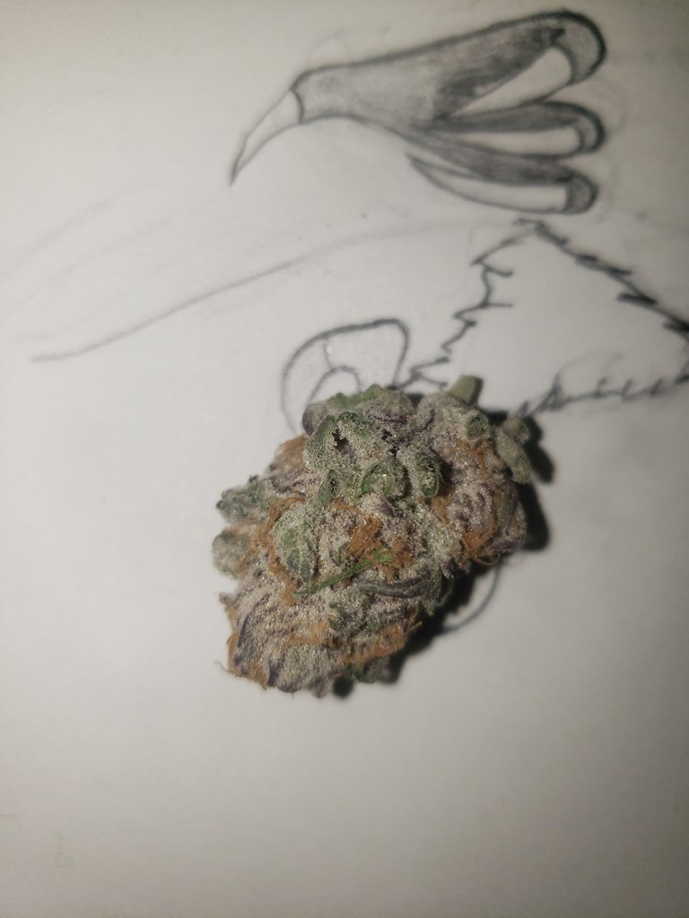 Nug1.jpg