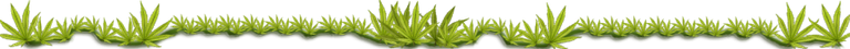 cannabis div 2.png