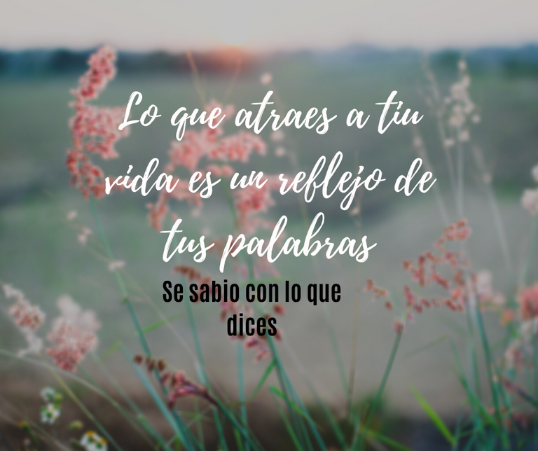 se sabio con tus palabrasblog.png