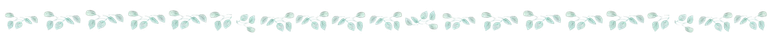 plantita.png