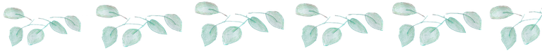 planta.png