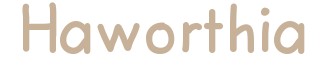 generatedtext (5).png