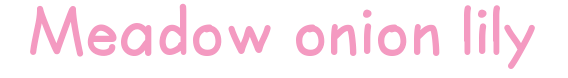 generatedtext (6).png