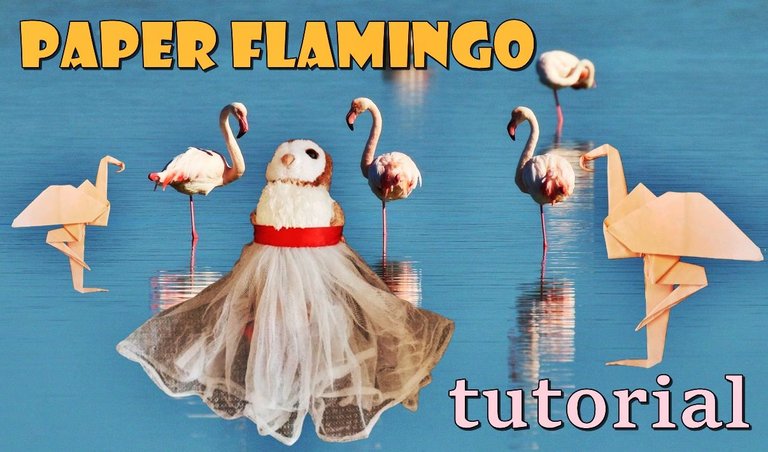 flamenco.jpg