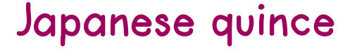 generatedtext (7).png