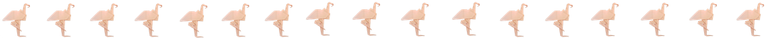borrador.png