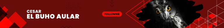 Followme.png