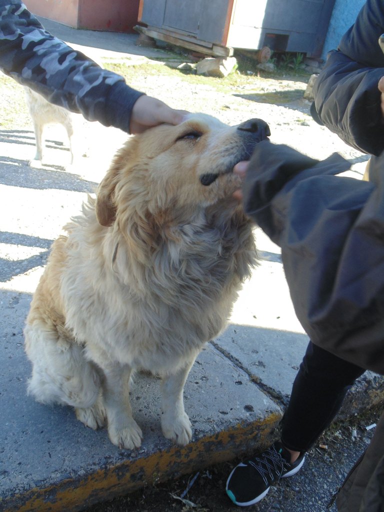 DSC01419.JPG