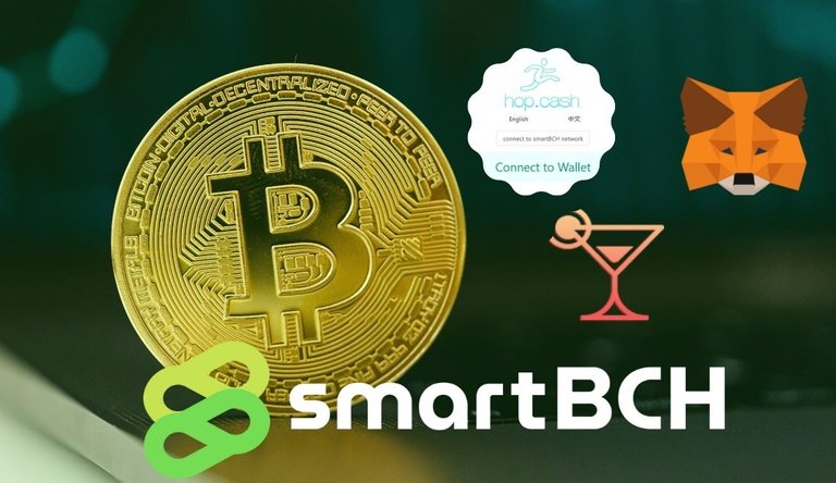 Smart BCH(1).jpg