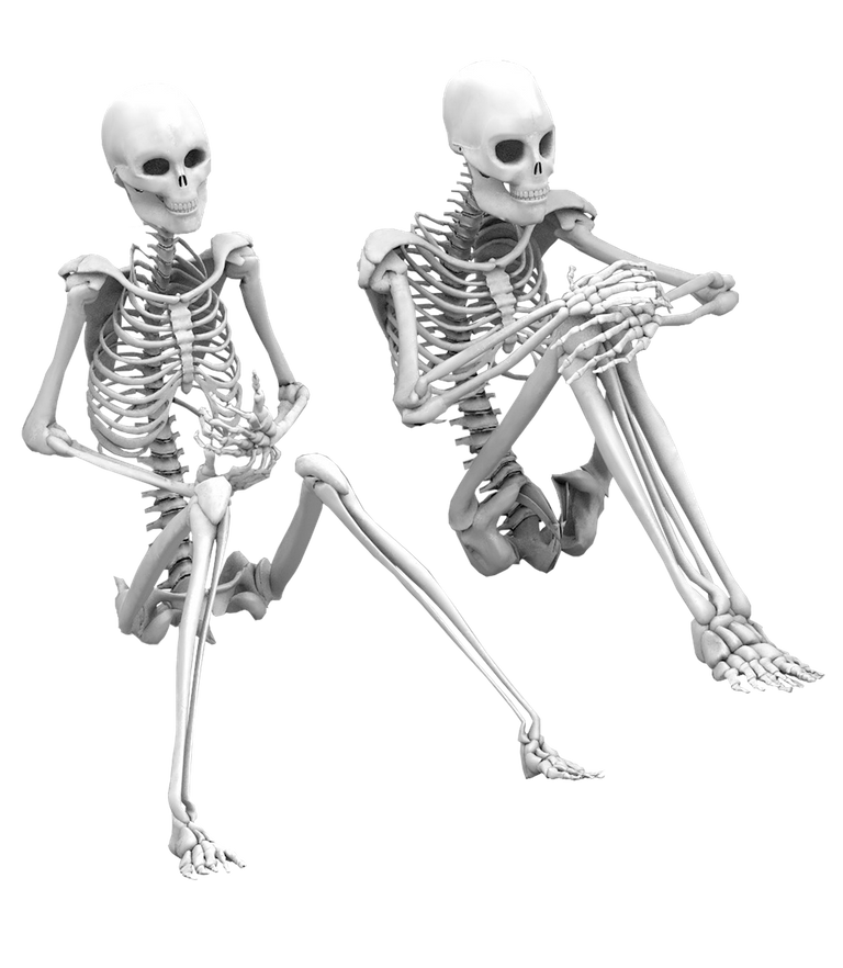 skeleton-2952199_1280.png