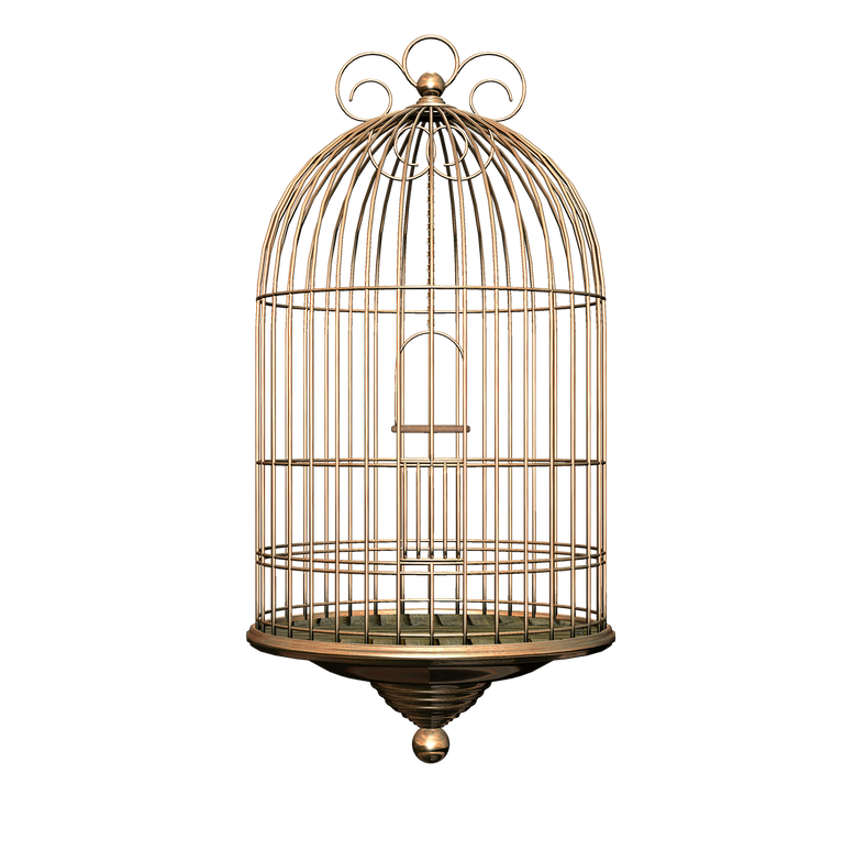 birdcage-7055851_1280.png