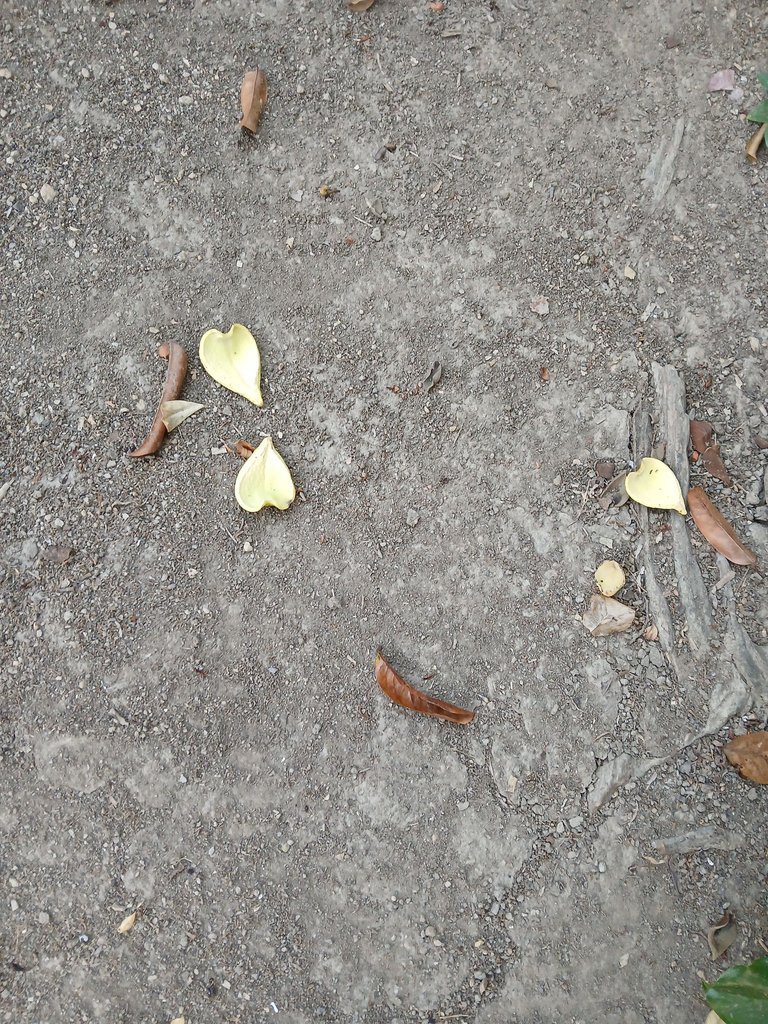 20250317_070803.jpg