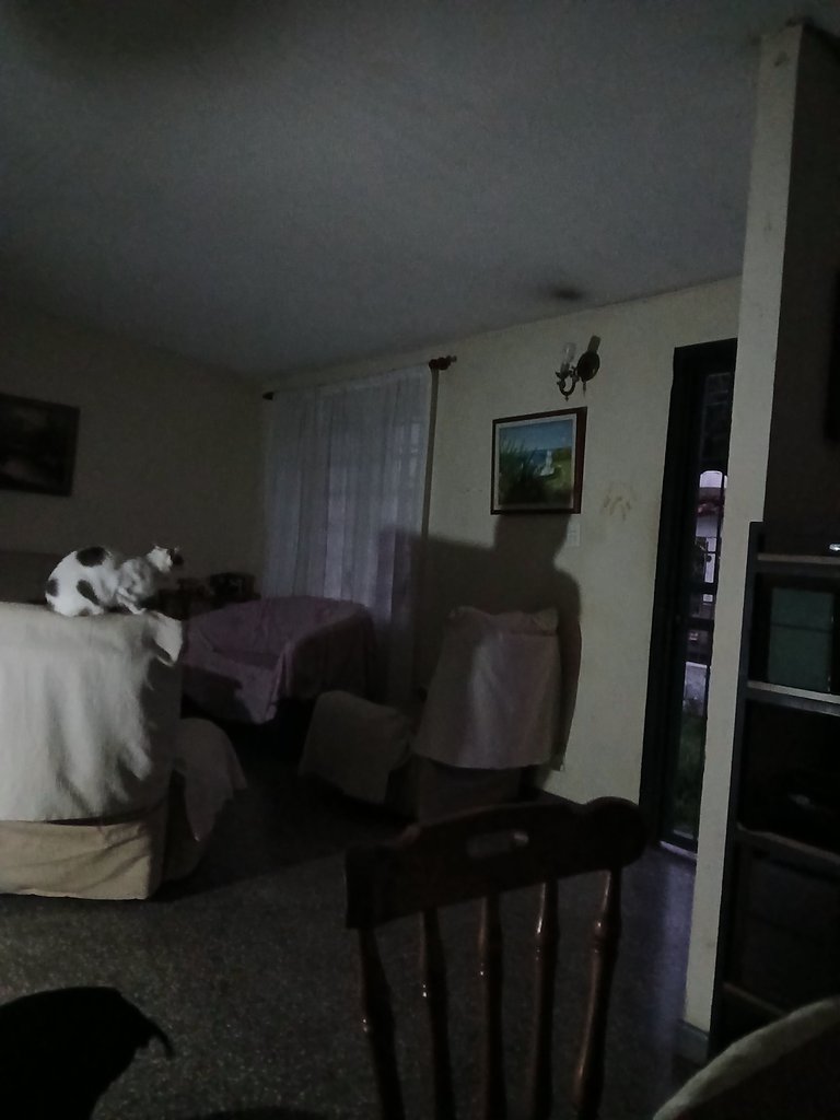 20250423_190343.jpg