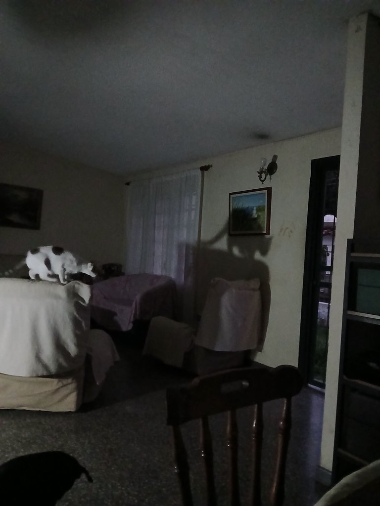 20250423_190341.jpg