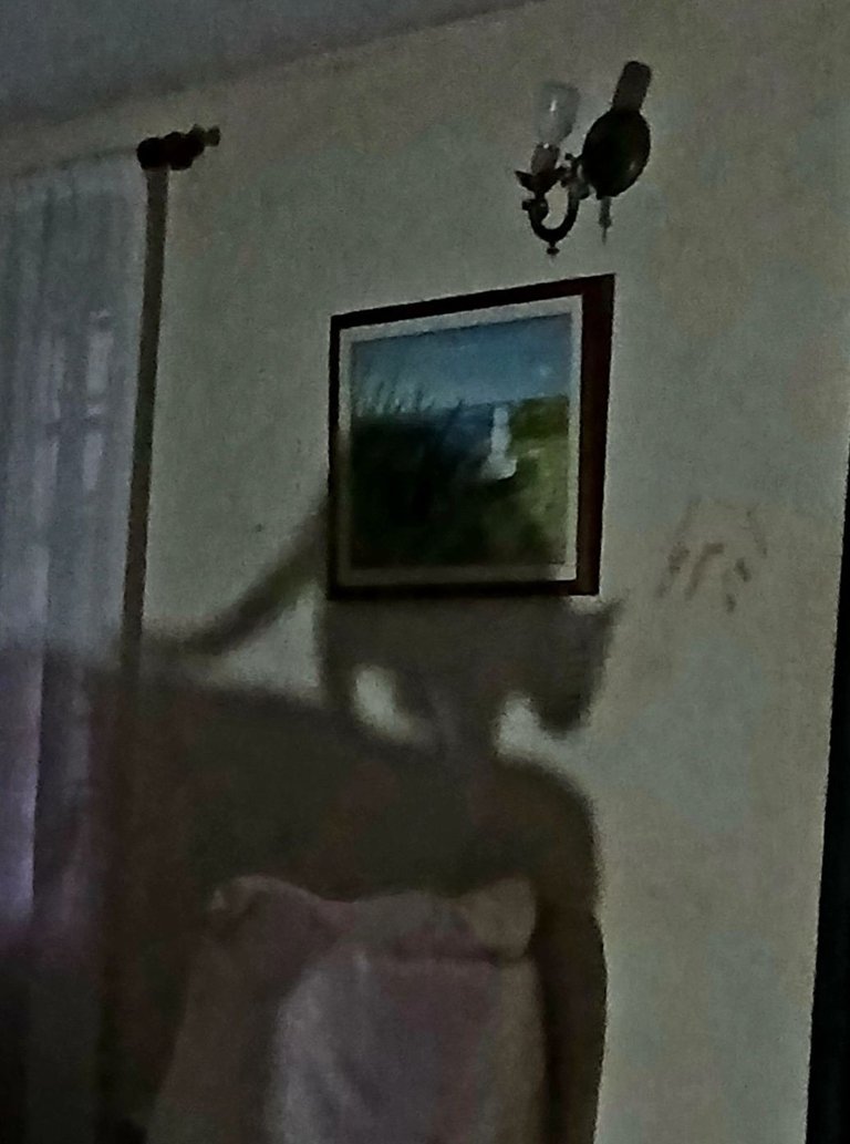 20250424_124702.jpg