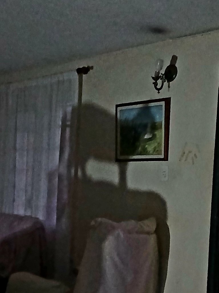 20250424_124619.jpg