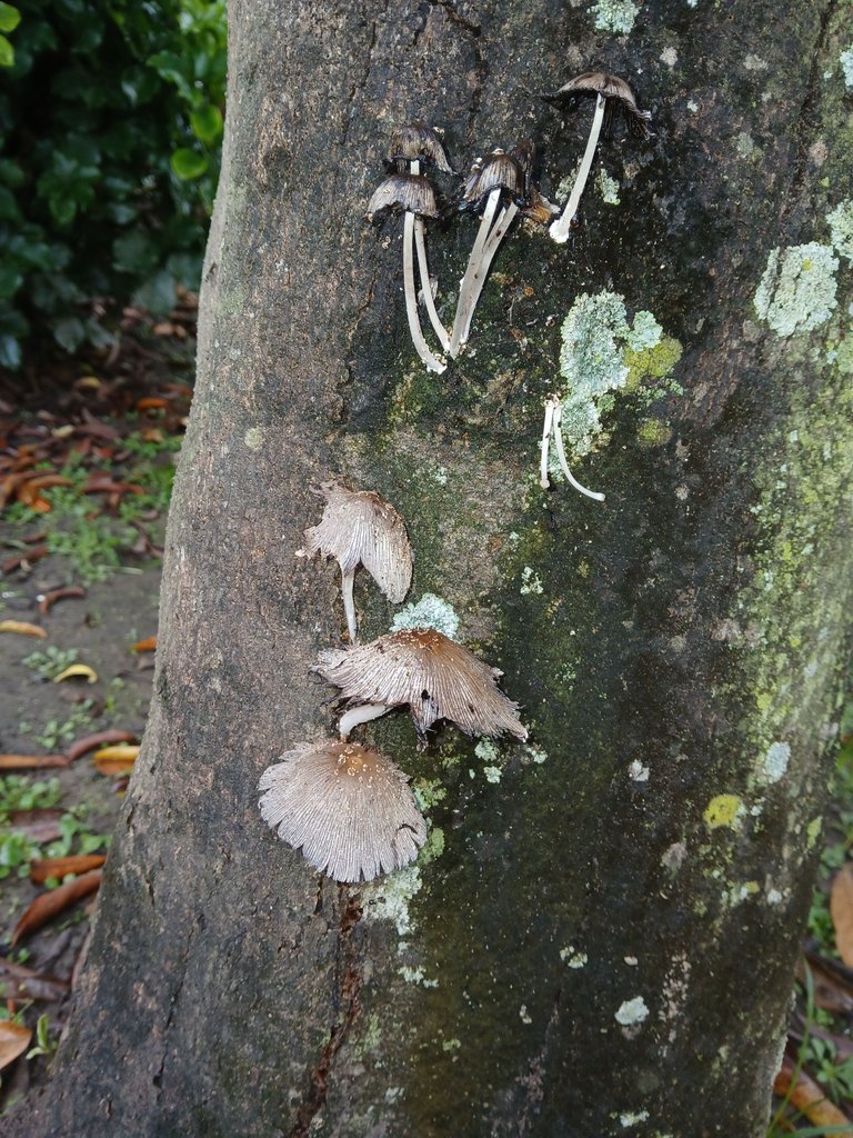 20250712_072909.jpg