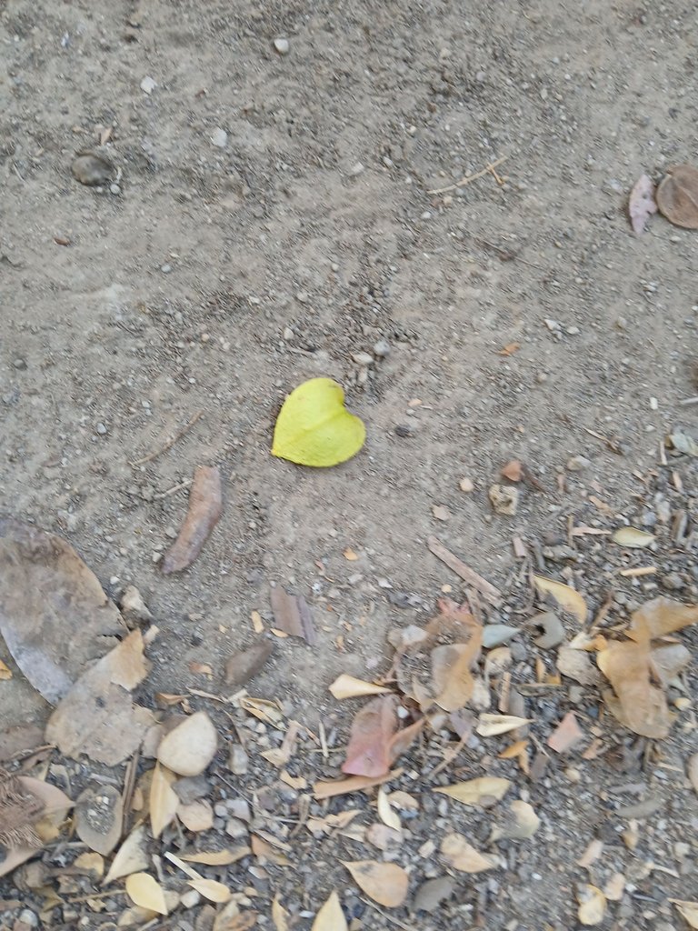 20250317_070821.jpg