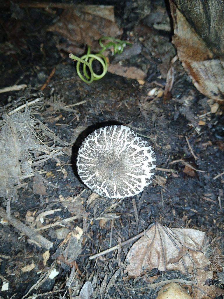 20250523_094532.jpg