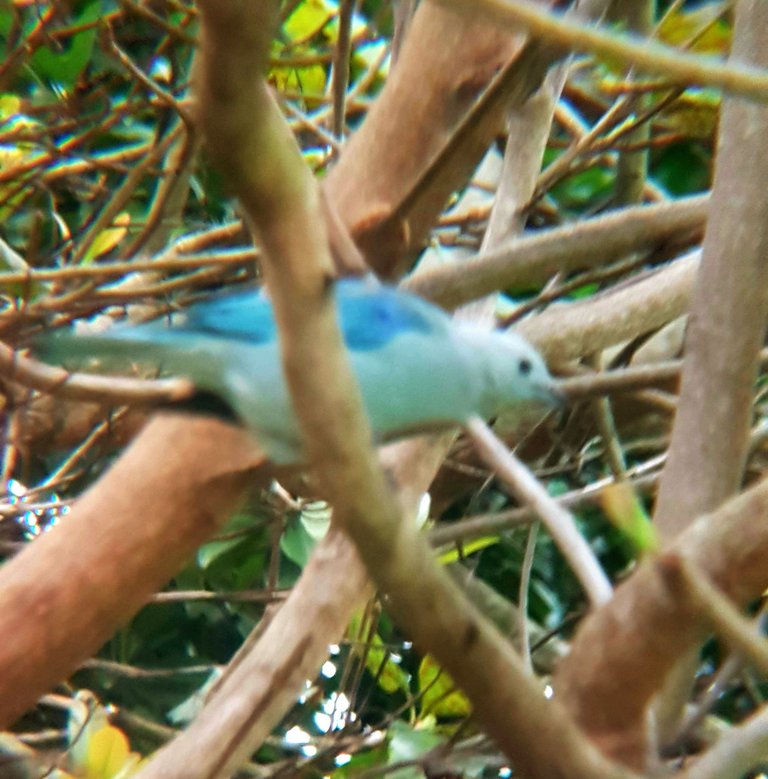 20220820_103015.jpg