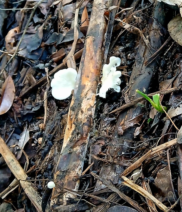 20250828_083341.jpg