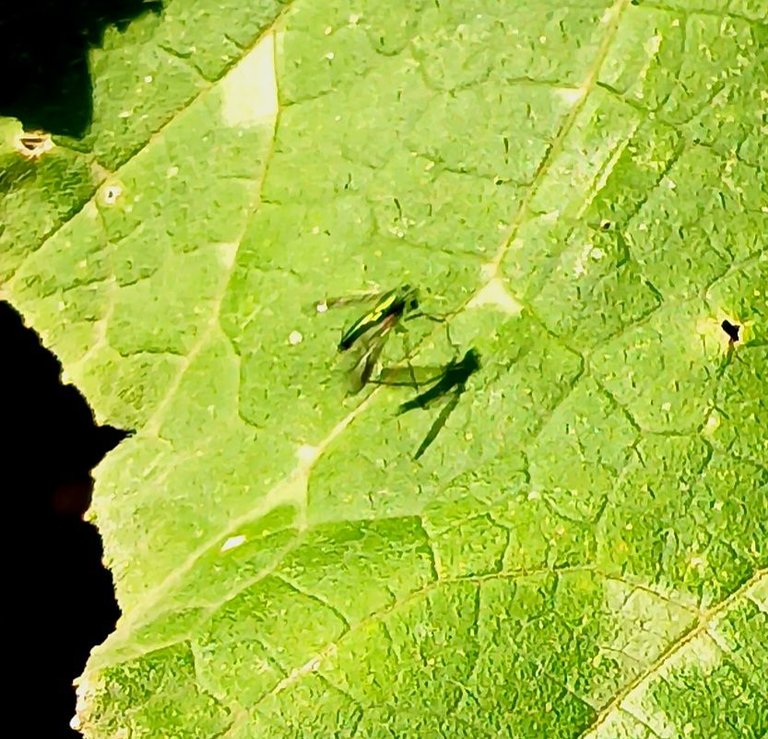 20250630_170415.jpg