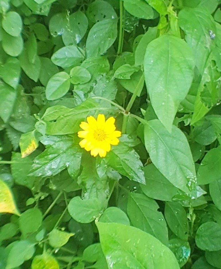 20220807_085054-1.jpg