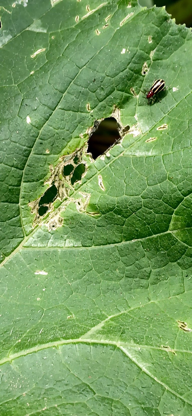 20250630_170923.jpg