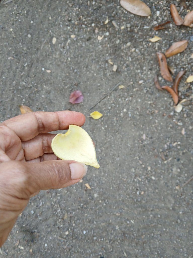 20250317_070816.jpg