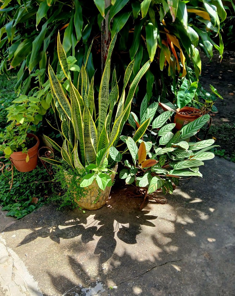 20250623_101129.jpg