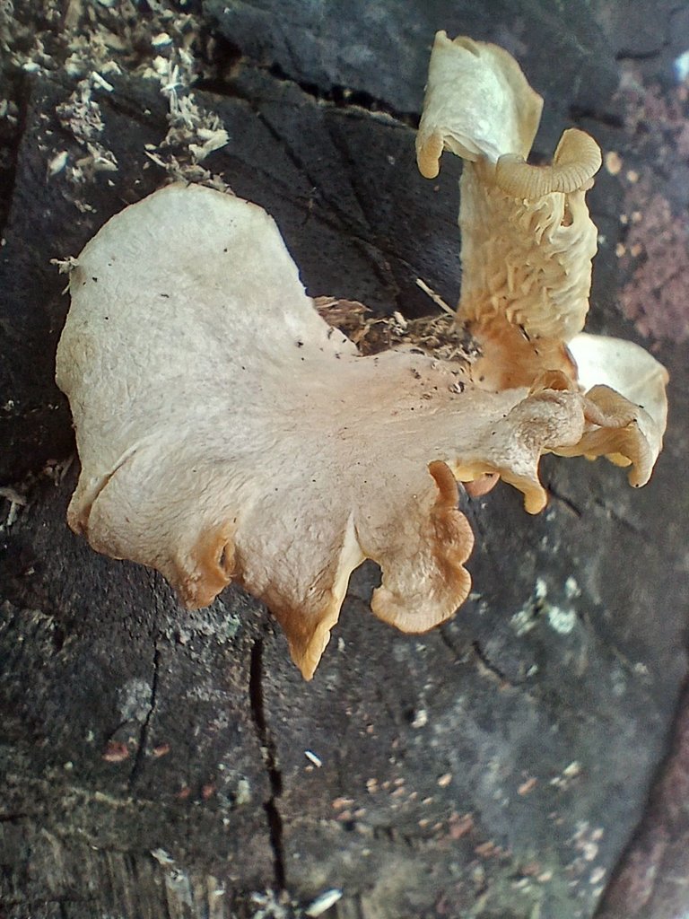 20250808_135500.jpg