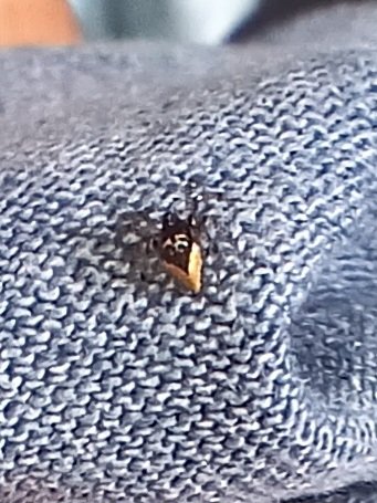 20250611_081308.jpg