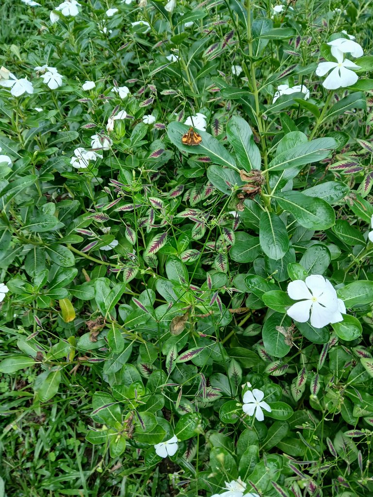 20241028_083144.jpg