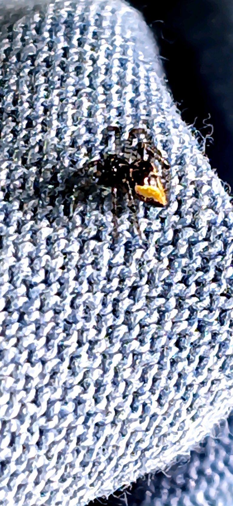 20250611_081409.jpg