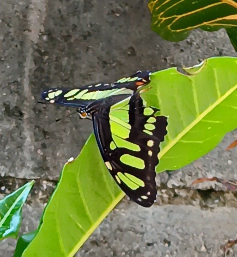 20250628_094304.jpg