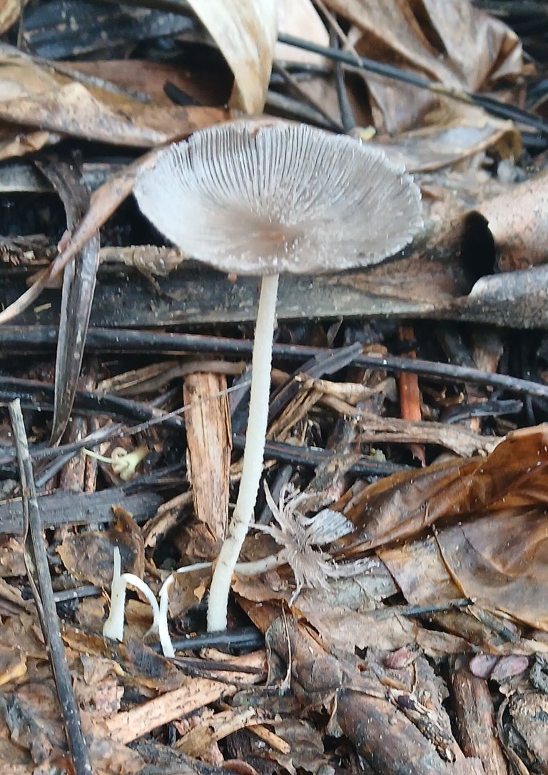 20250509_095436.jpg