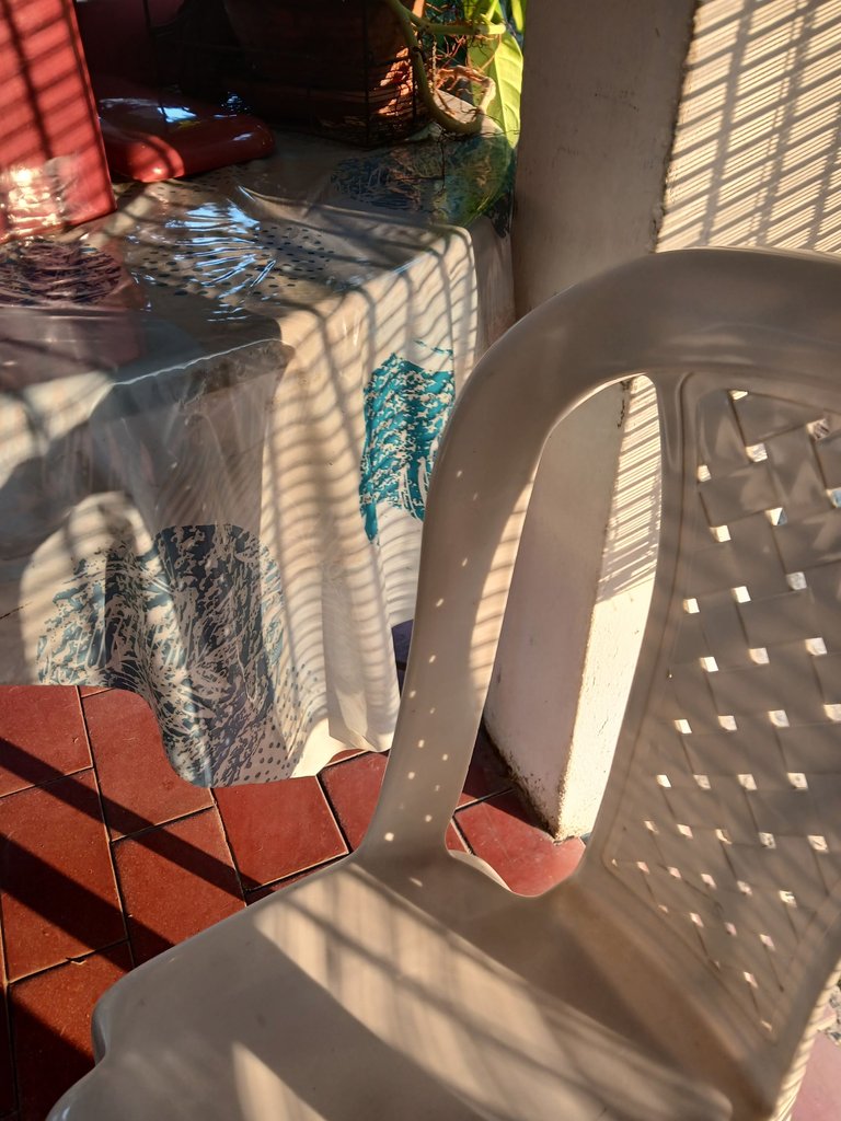 20250417_070612.jpg