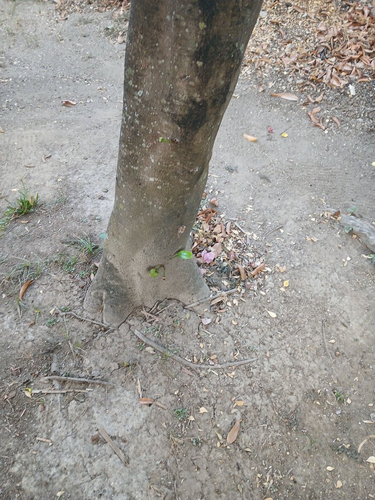 20250317_070852.jpg