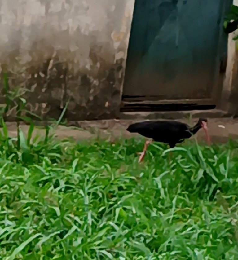 20250827_111618.jpg