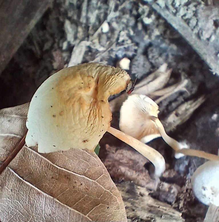 20250604_130413.jpg
