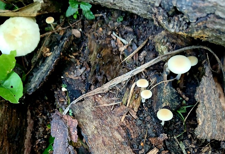 20250612_092633.jpg