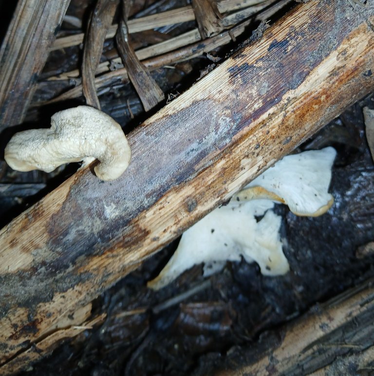 20250829_155343.jpg