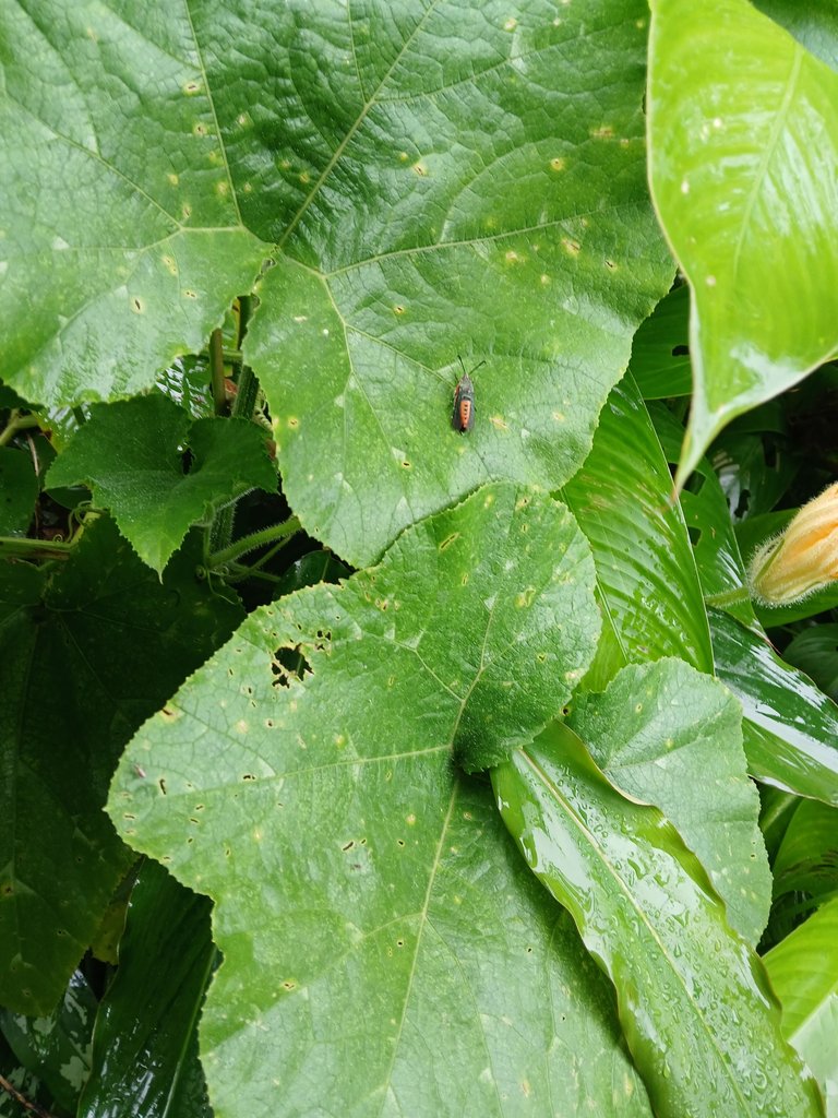 20250712_143329.jpg
