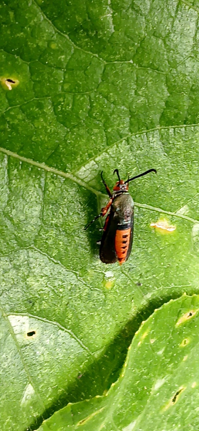 20250712_143500.jpg
