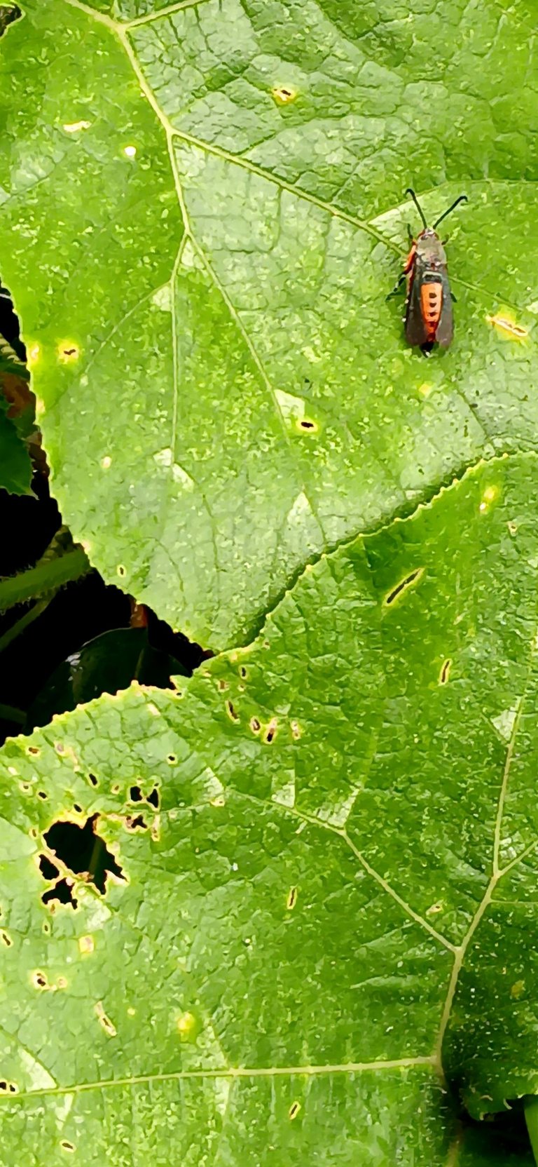 20250712_143404.jpg