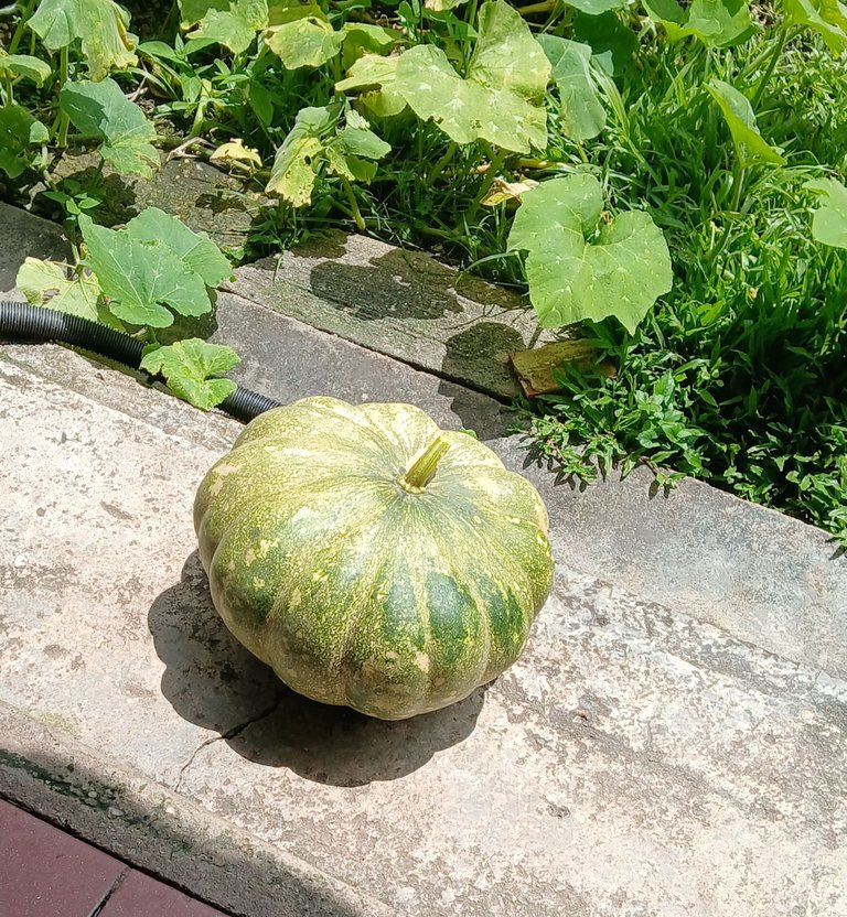 20250722_112421.jpg