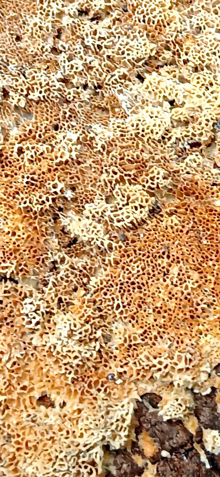 20250415_135431.jpg