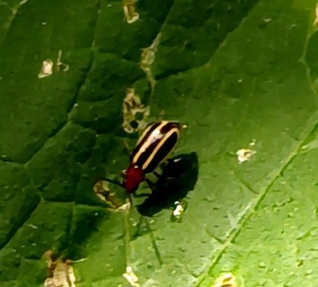 20250630_170956.jpg